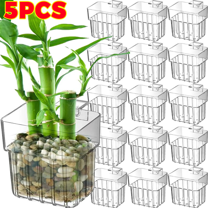 Fish Aquarium Home - 1/5pcs Aquarium Decoration Plant Cup Transparent