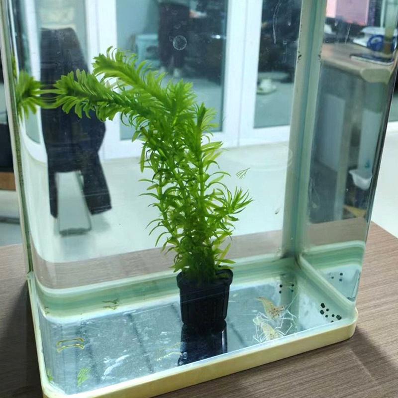 4Pcs Pet Fish Tank Landscaping - Aquarium Fish Tank ulasan dan harga