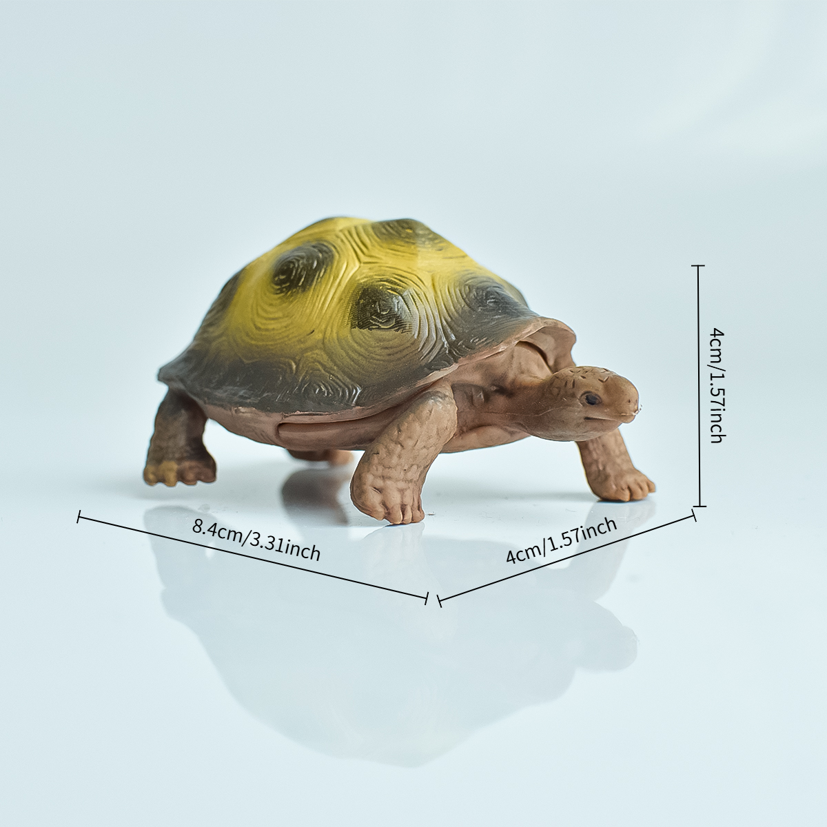 Painted Realistic Animal Turtl - Fish Aquarium Home ulasan dan harga