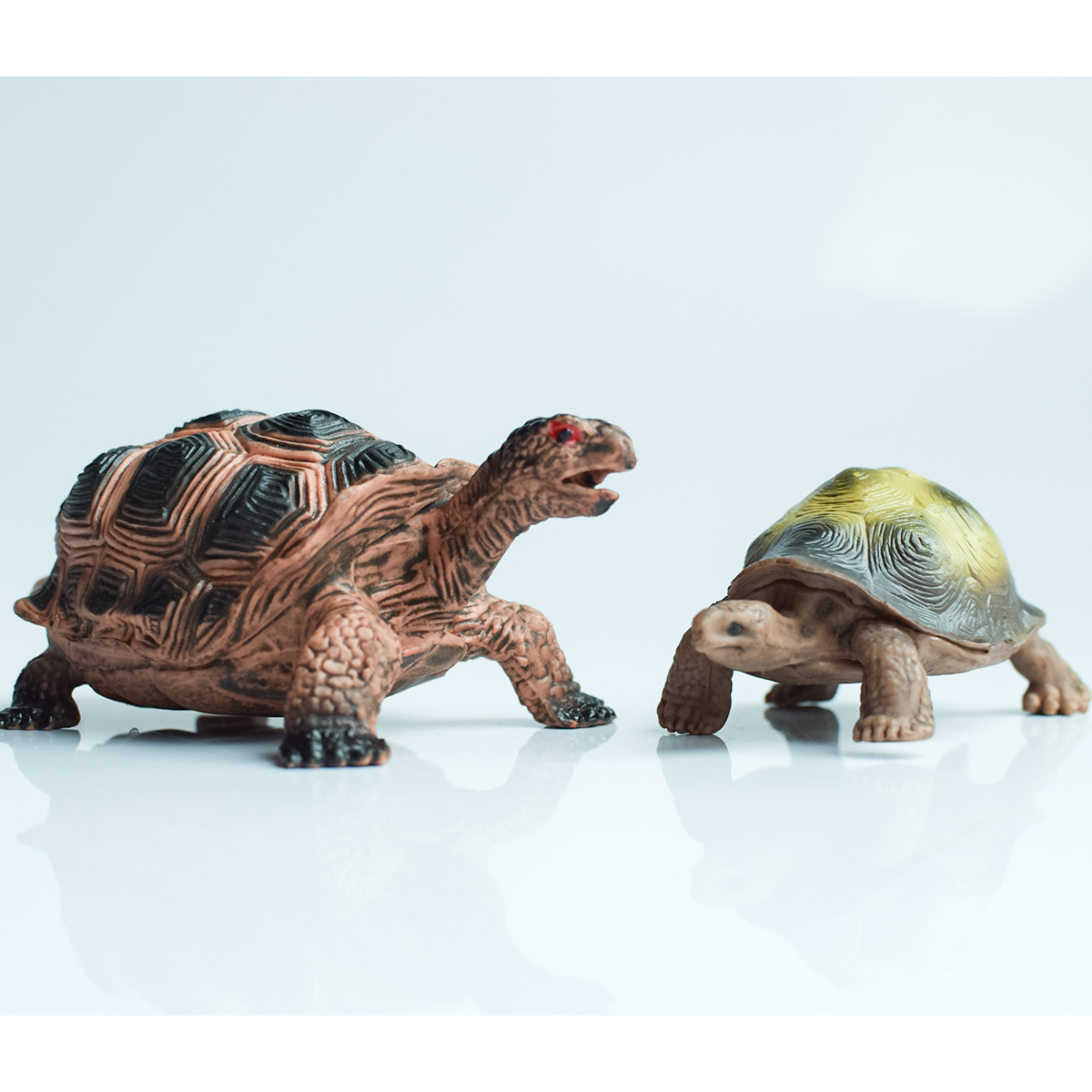 Painted Realistic Animal Turtl - Fish Aquarium Home ulasan dan harga