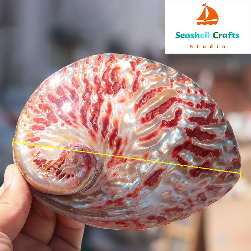 Home Decoration Red Pattern Ab - Aquarium Fish Tank Price ulasan dan harga