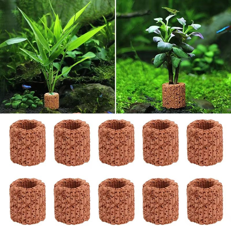 Aquatic Plant Fixed Ring for A - Aquarium Fish Tank Price ulasan dan harga