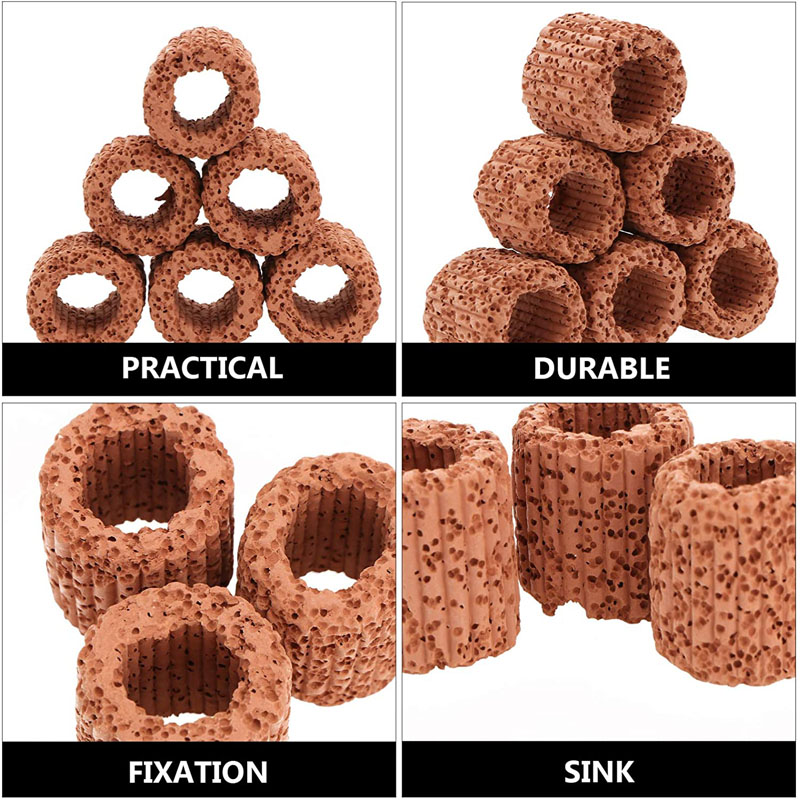 Aquatic Plant Fixed Ring for A - Aquarium Fish Tank Price ulasan dan harga