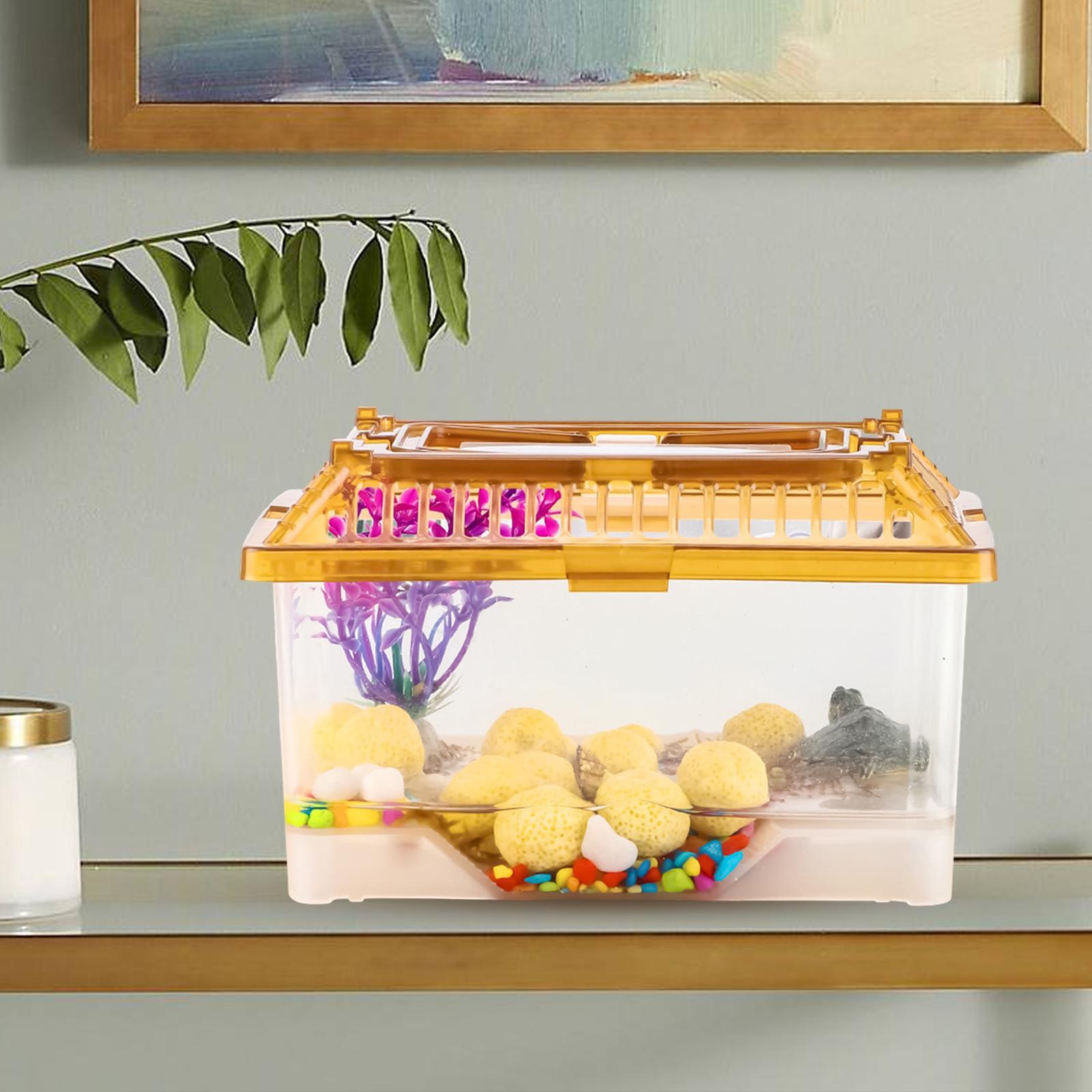 Transparent Turtle Tank with L - Aquarium Fish Tank ulasan dan harga