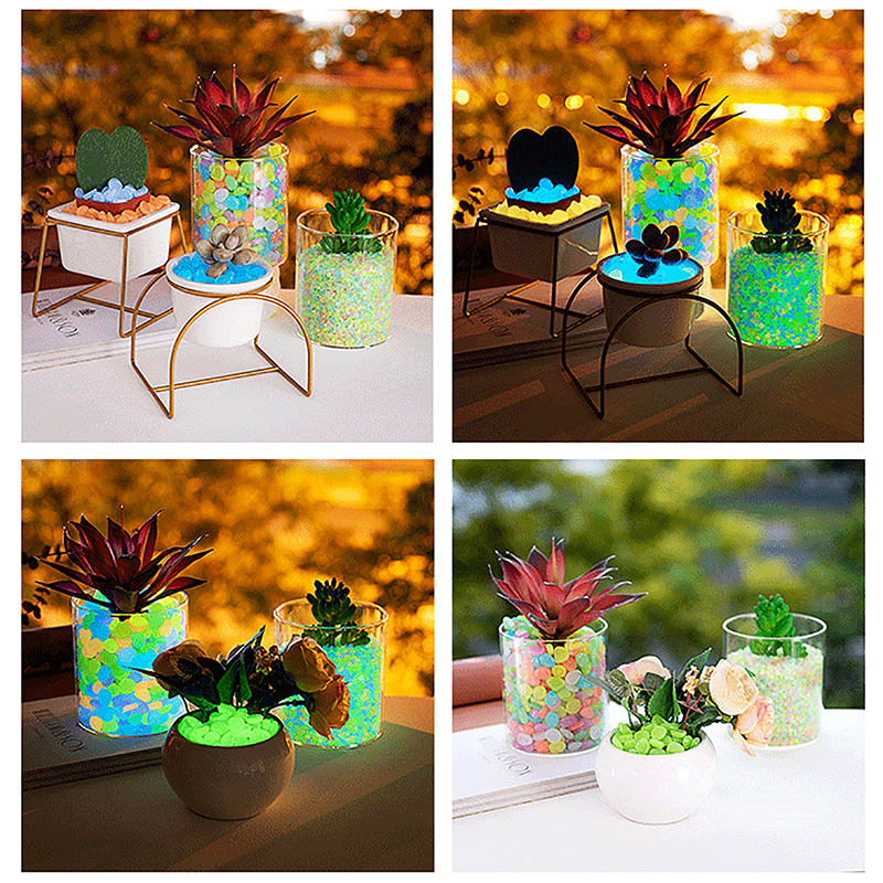 C 100pcs Garden Decor Luminous - Aquarium Fish That Glow In The Dark ulasan dan harga