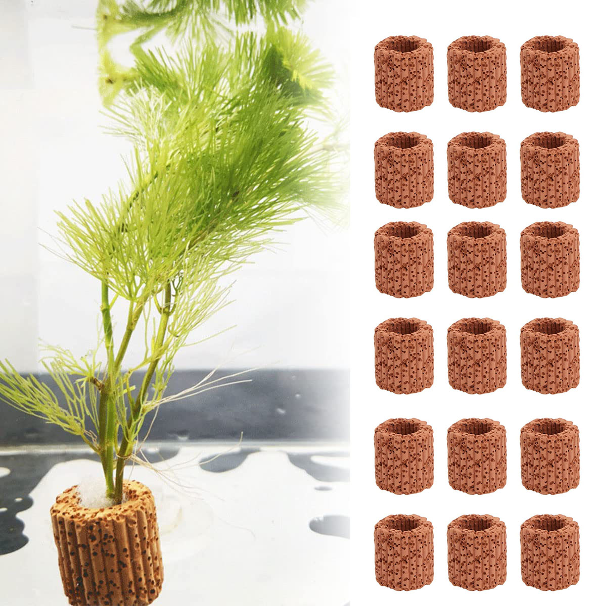 10/20Pcs Aquatic Water Plant F - Aquarium Fish Tank Price ulasan dan harga