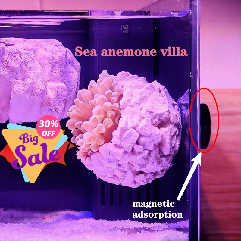 New DIY Handmade Floating Magn - Aquarium Fish Tank Price ulasan dan harga