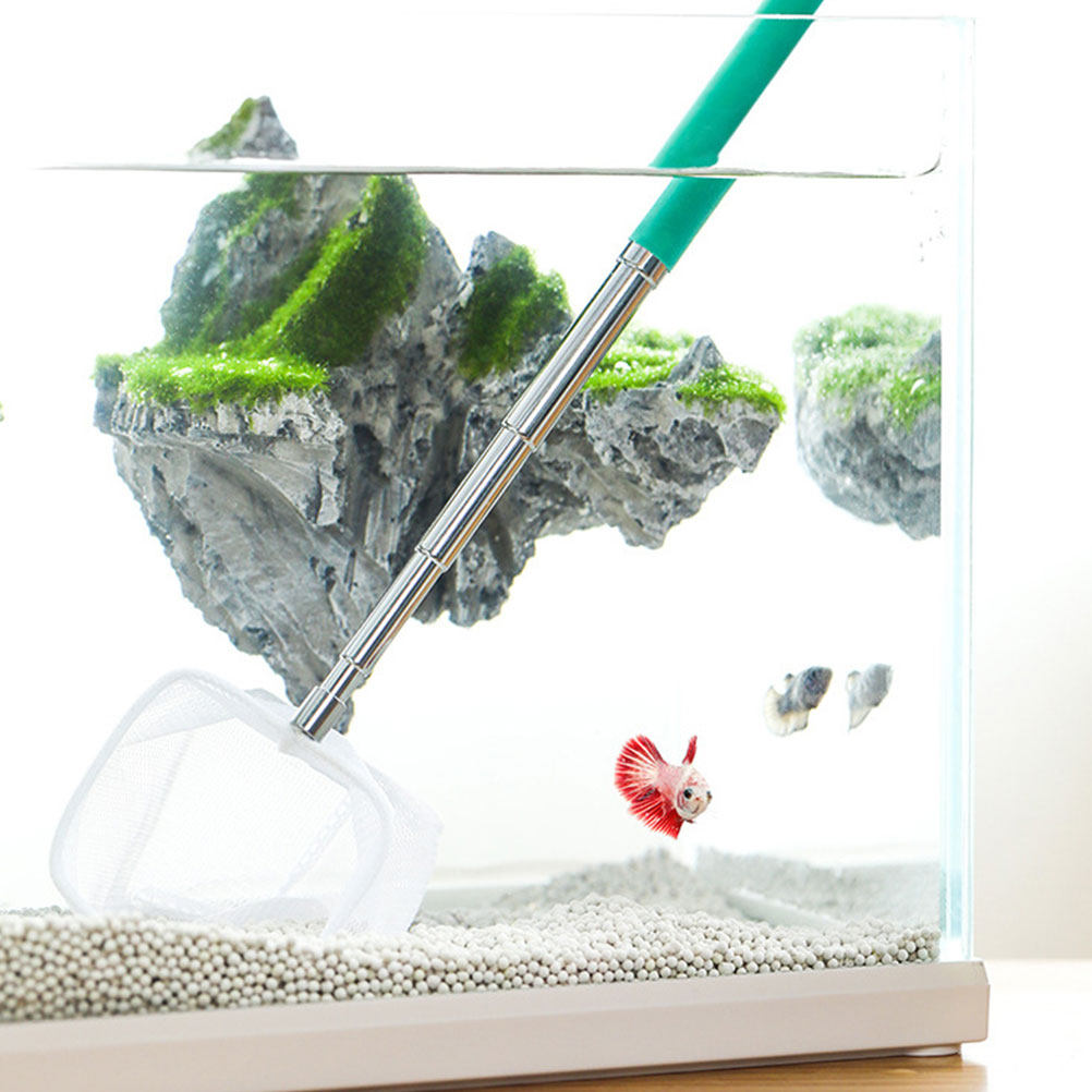Telescopic Fish Landing Net 3D - Aquarium Fish Net Small ulasan dan harga