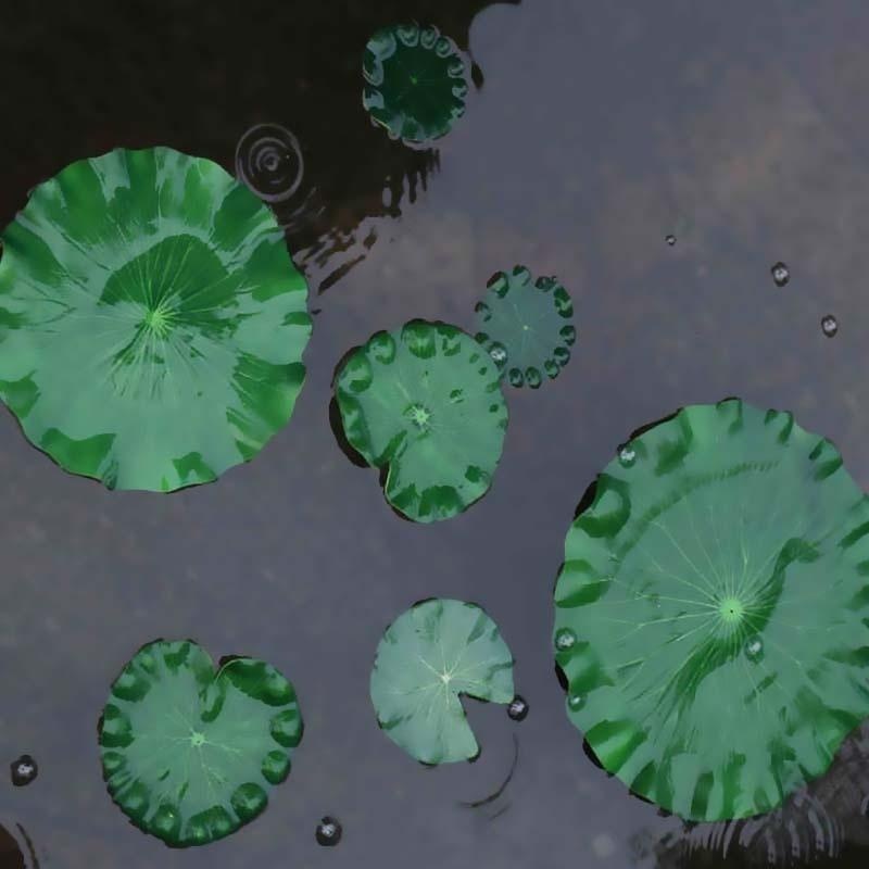 2026 Artificial Water Lily Lot - Aquarium Fish Land ulasan dan harga