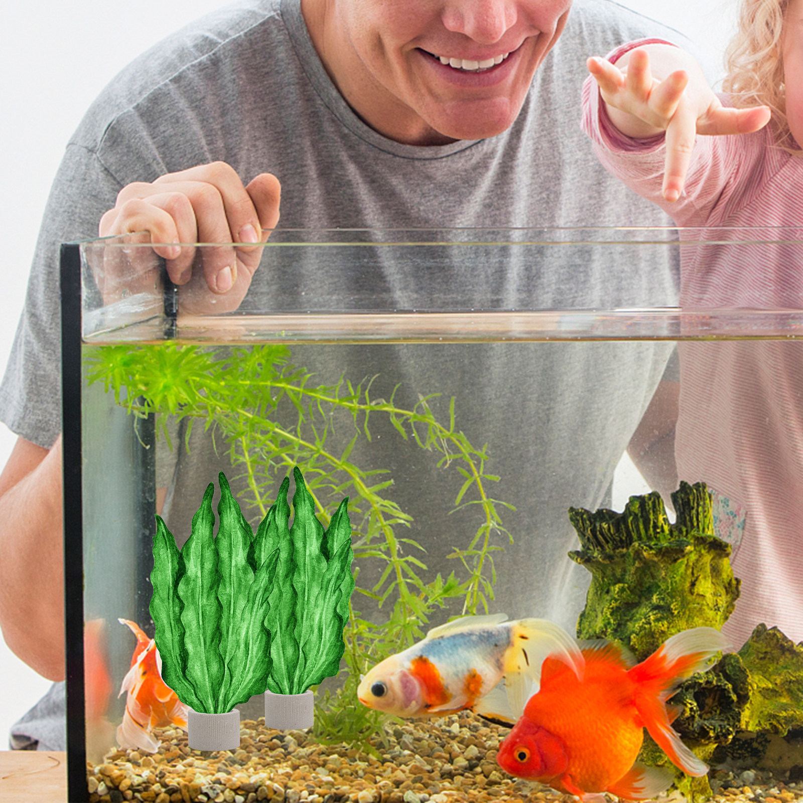 5Pcs Premium Pottery Water Pla - Aquarium Fish Tank ulasan dan harga