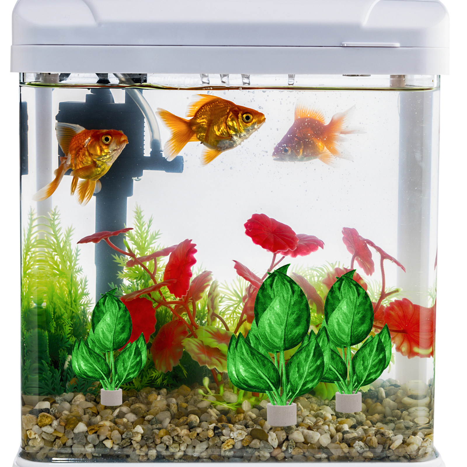 5Pcs Premium Pottery Water Pla - Aquarium Fish Tank ulasan dan harga