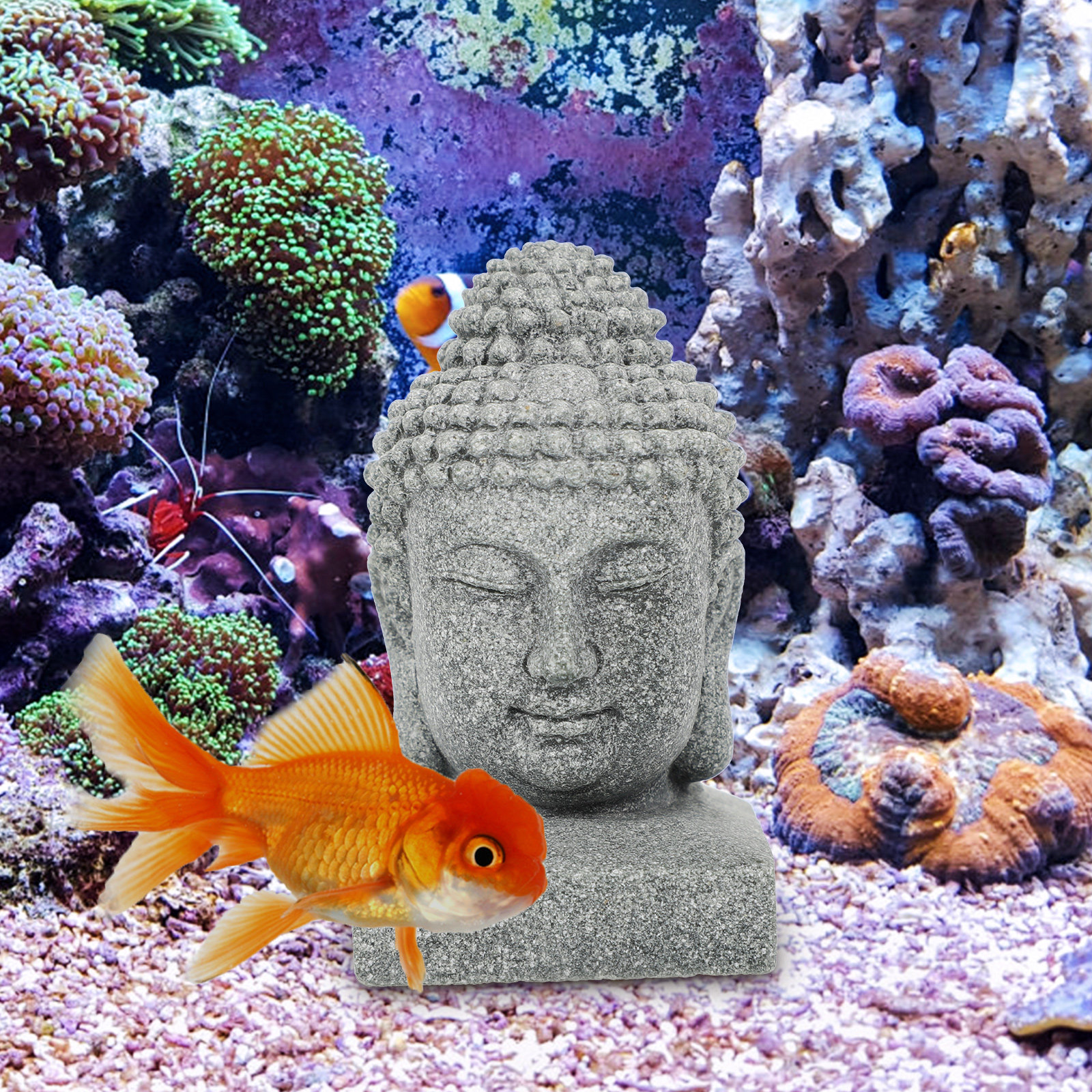 Desktop Buddha Statue Chinese  - Fish Aquarium Home ulasan dan harga