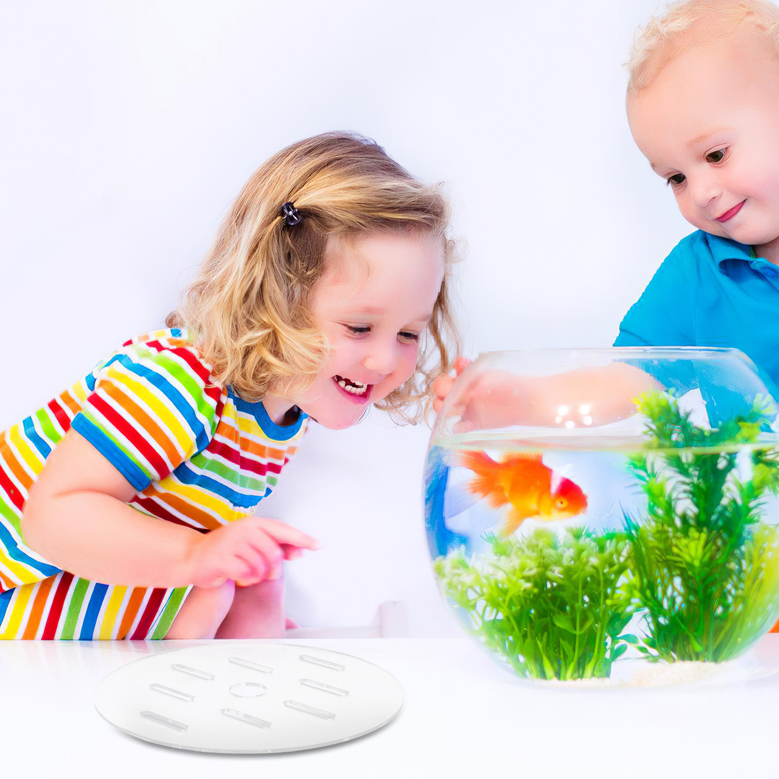 Transparent Acrylic Aquarium C - Aquarium Fish Jumping ulasan dan harga