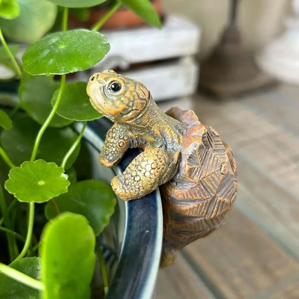 Fishing Turtle Hanging Turtle  - Fish Aquarium Home ulasan dan harga