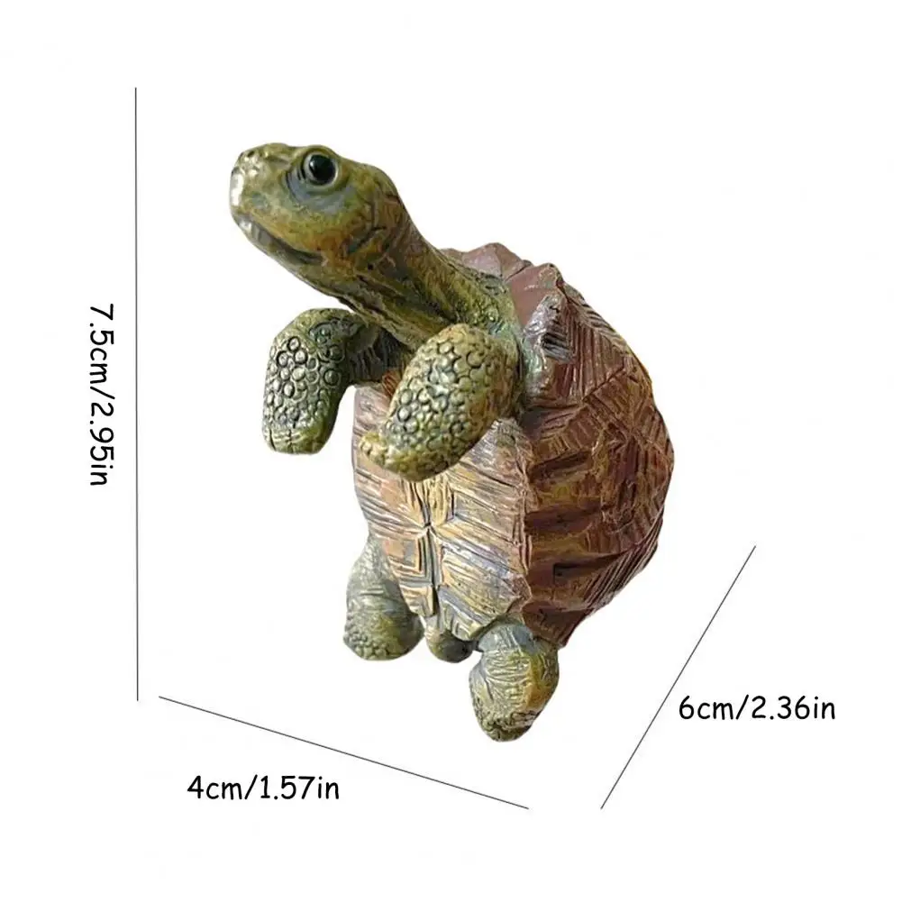 Fishing Turtle Hanging Turtle  - Fish Aquarium Home ulasan dan harga