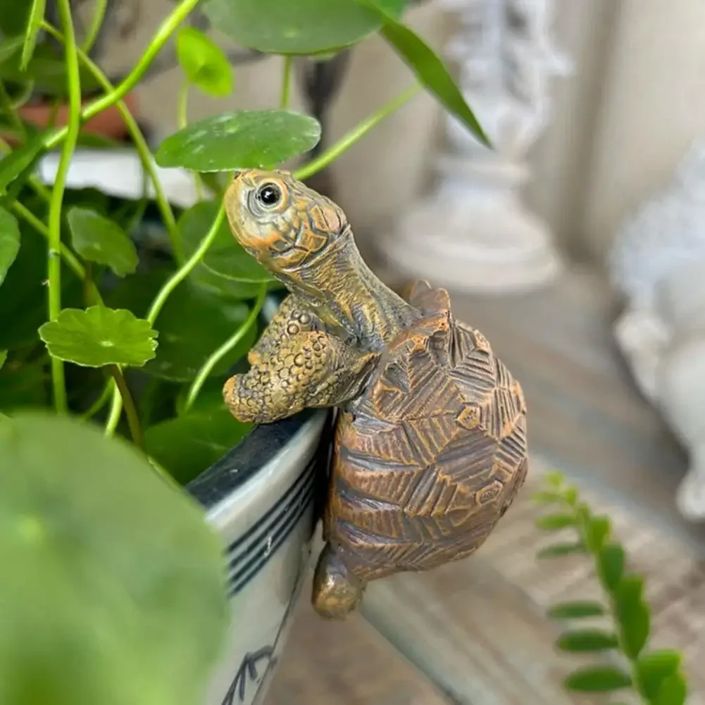 Fishing Turtle Hanging Turtle  - Fish Aquarium Home ulasan dan harga