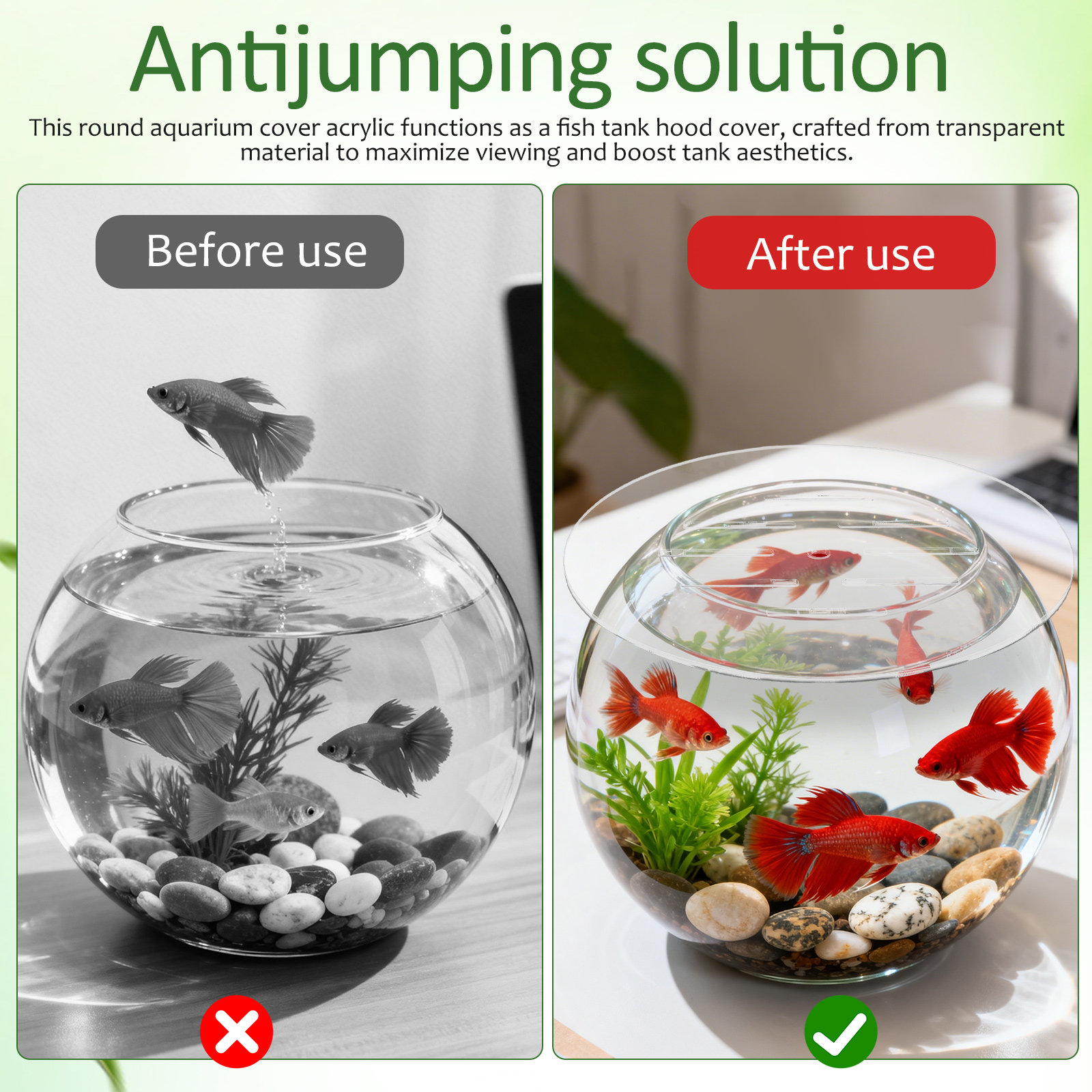 Round Acrylic Aquarium Cover 2 - Aquarium Fish Jumping ulasan dan harga