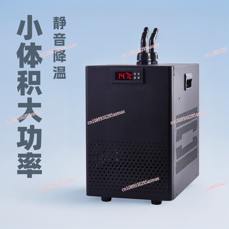 Small fish tank chiller househ - Aquarium Mini Fish ulasan dan harga