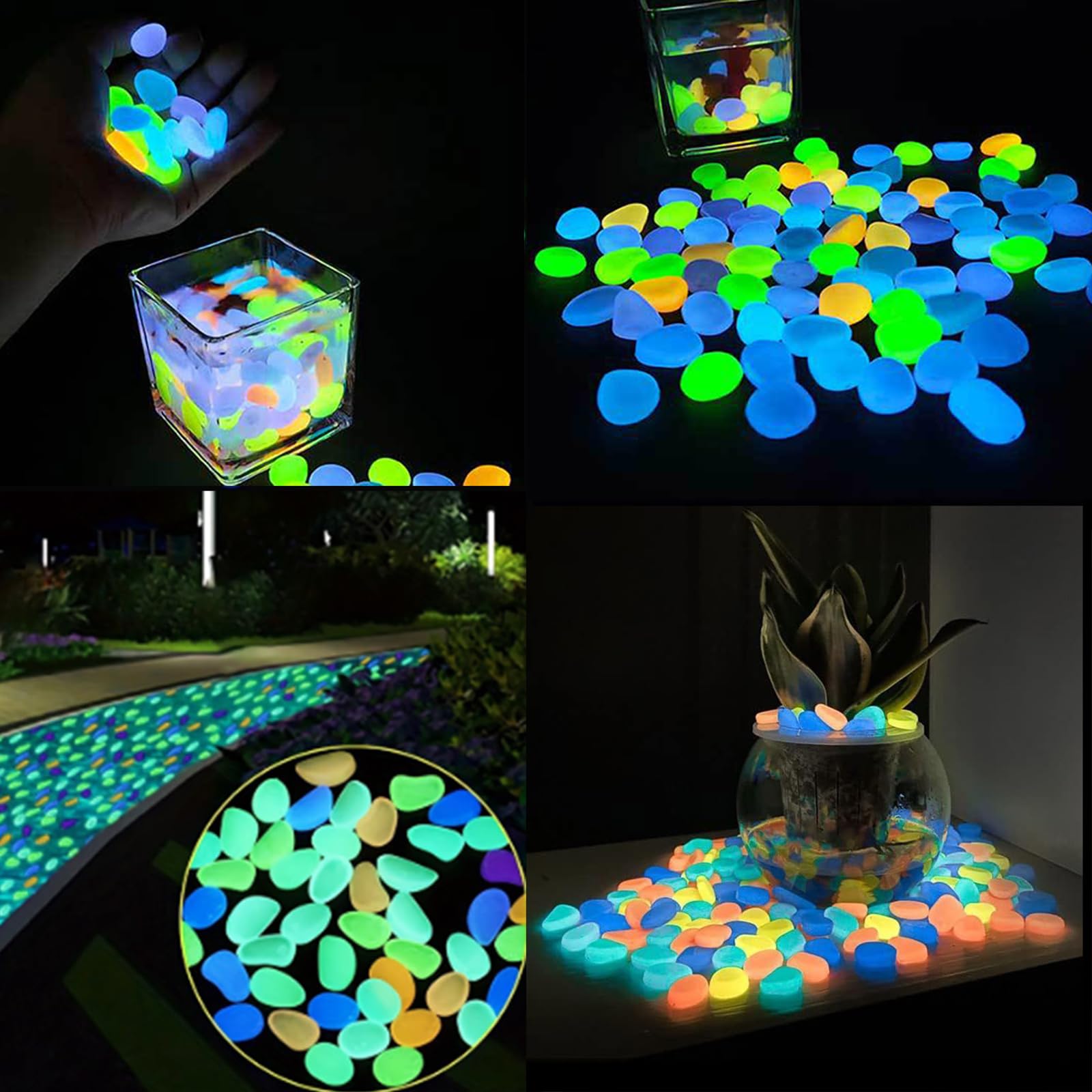 Aquarium Decor Glow In The Dar - Aquarium Fish That Glow In The Dark ulasan dan harga