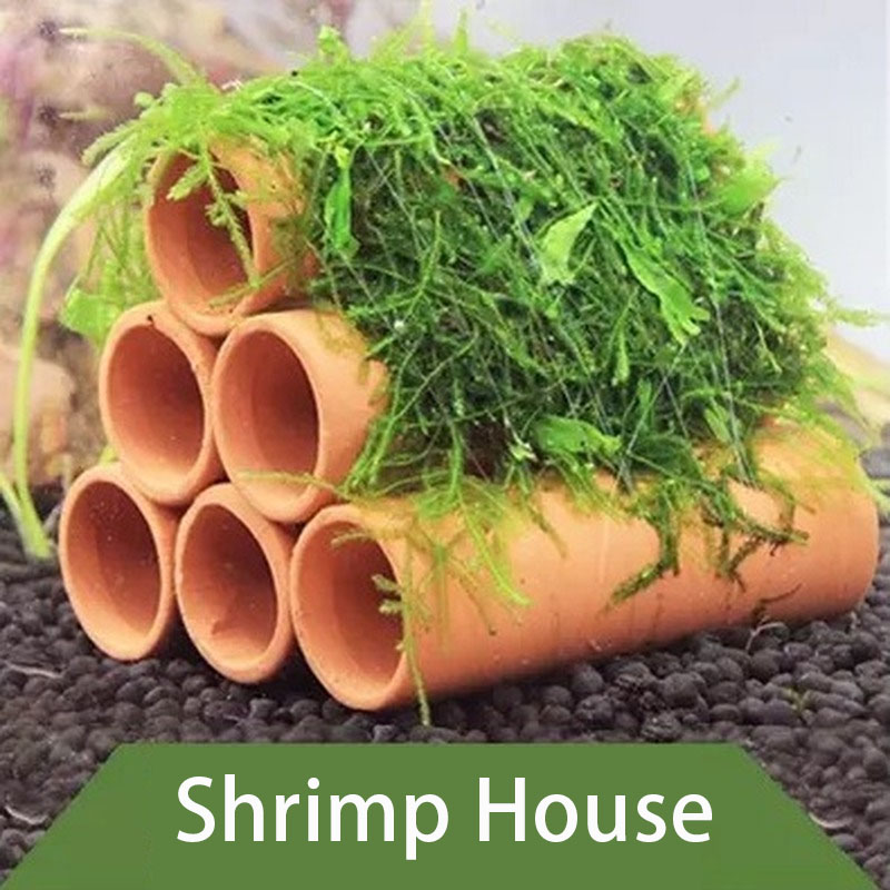 Clay Aquarium Decoration Fish  - Aquarium Fish Tank Price ulasan dan harga