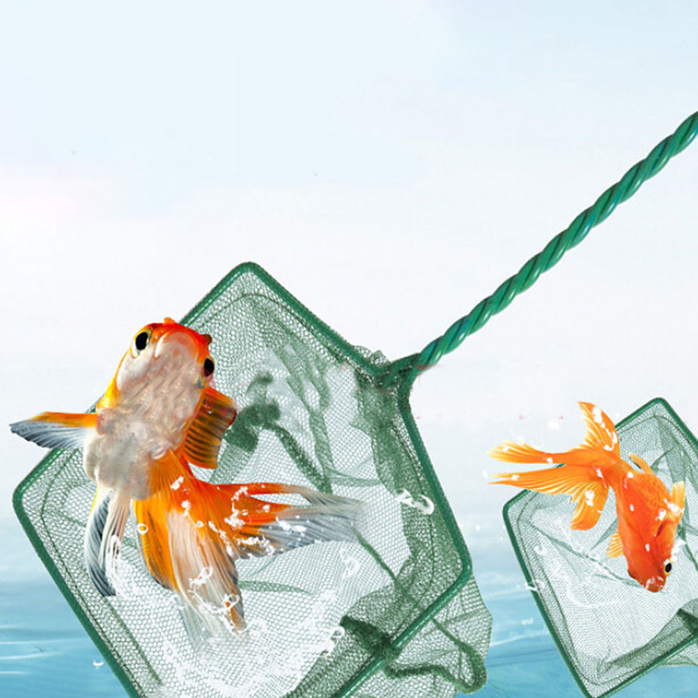 2Pcs Fishing Net Soft Mesh Aqu - Aquarium Fish Net Small ulasan dan harga