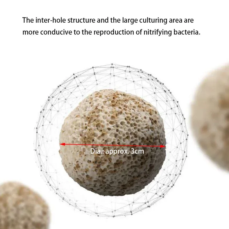 10pcs 20pcs High Quality  Aqua - Aquarium Fish Ball ulasan dan harga