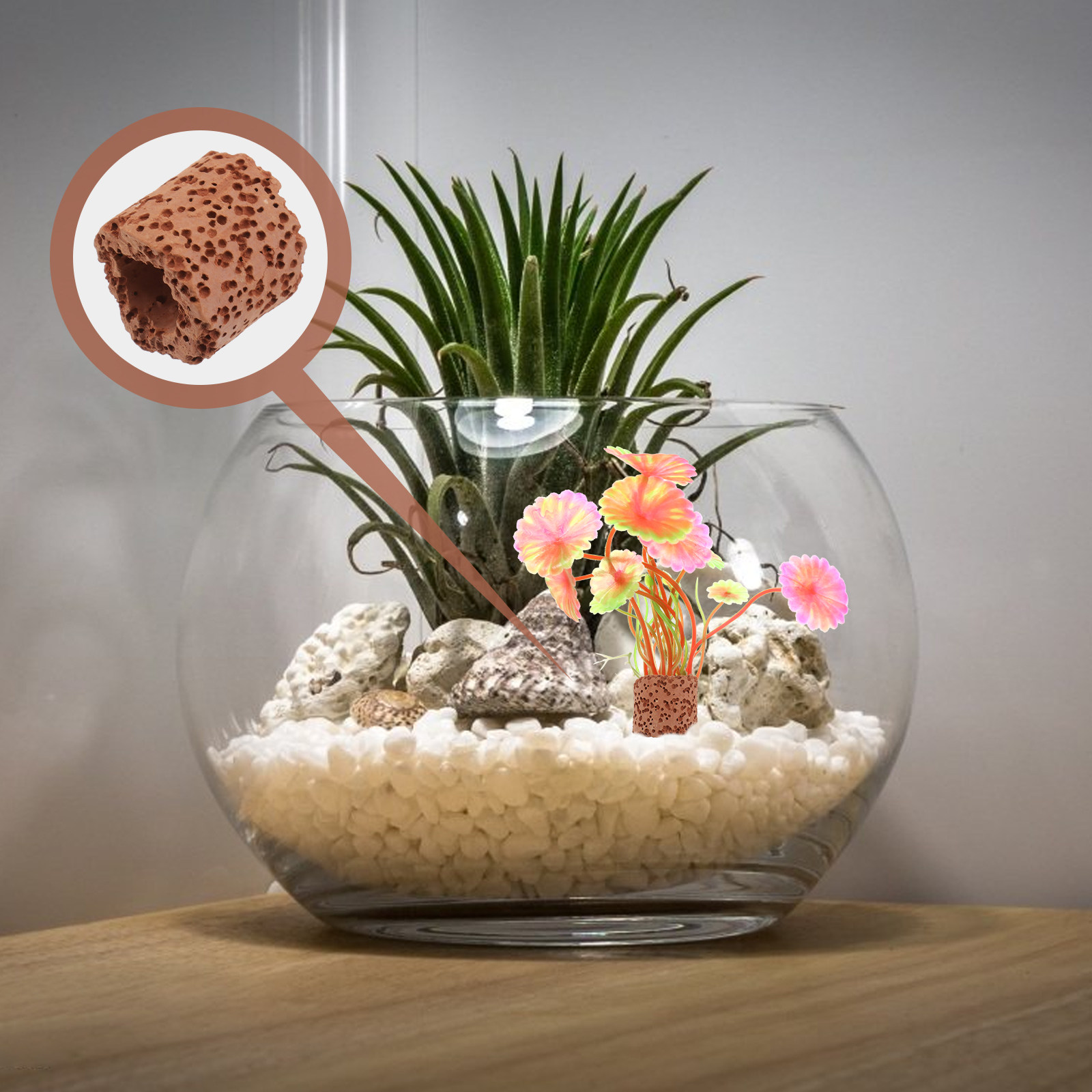 10Pcs Water Plant Fixed Ring S - Aquarium Fish Tank ulasan dan harga