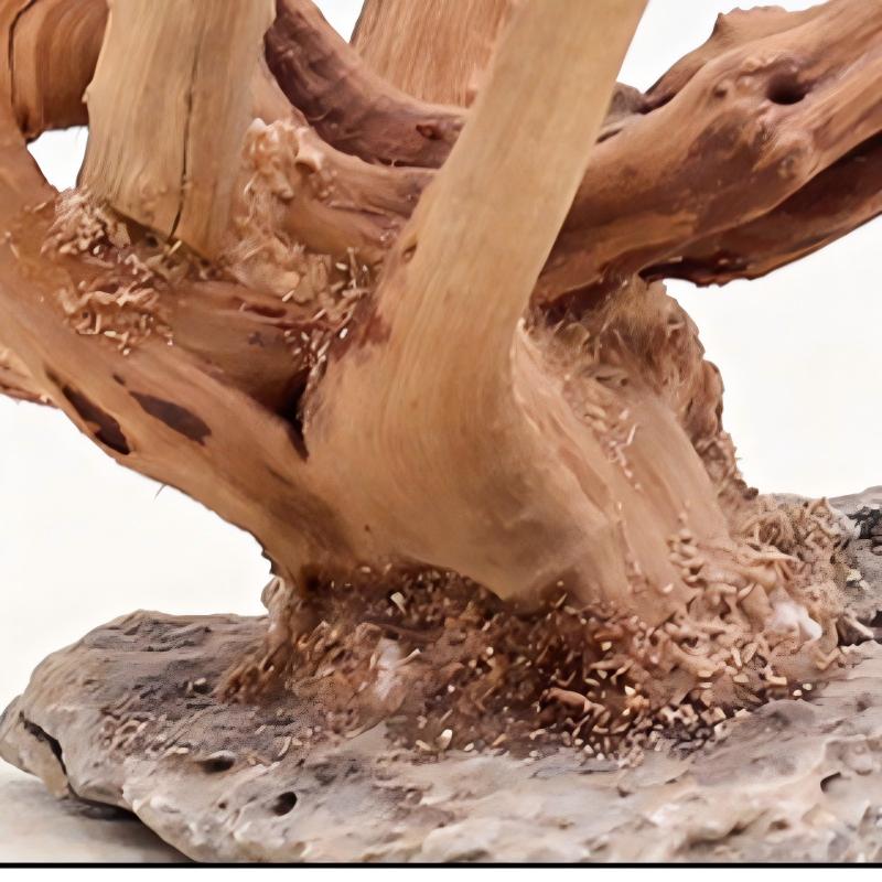 1PC Aquarium Landscaping Wood  - Aquarium Fish Tank Price ulasan dan harga