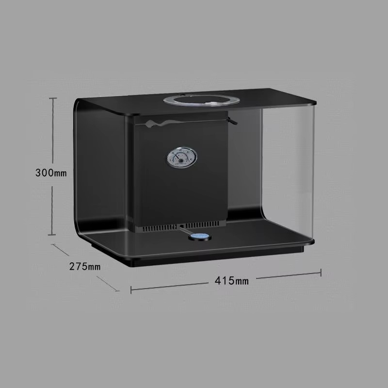 Aquarium Living Room Small Fis - Aquarium Fish Supplier ulasan dan harga