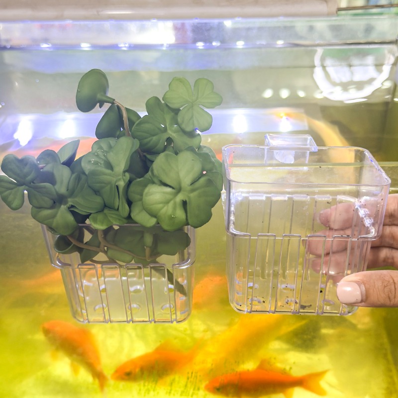 1/5pcs Aquarium Decoration Pla - Fish Aquarium Home ulasan dan harga