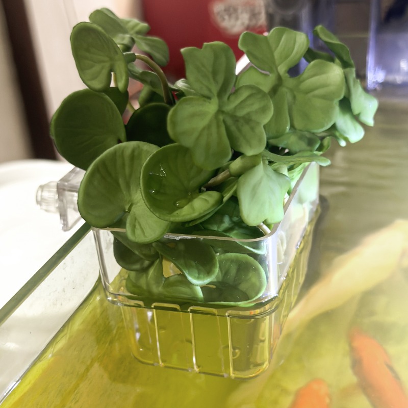 1/5pcs Aquarium Decoration Pla - Fish Aquarium Home ulasan dan harga