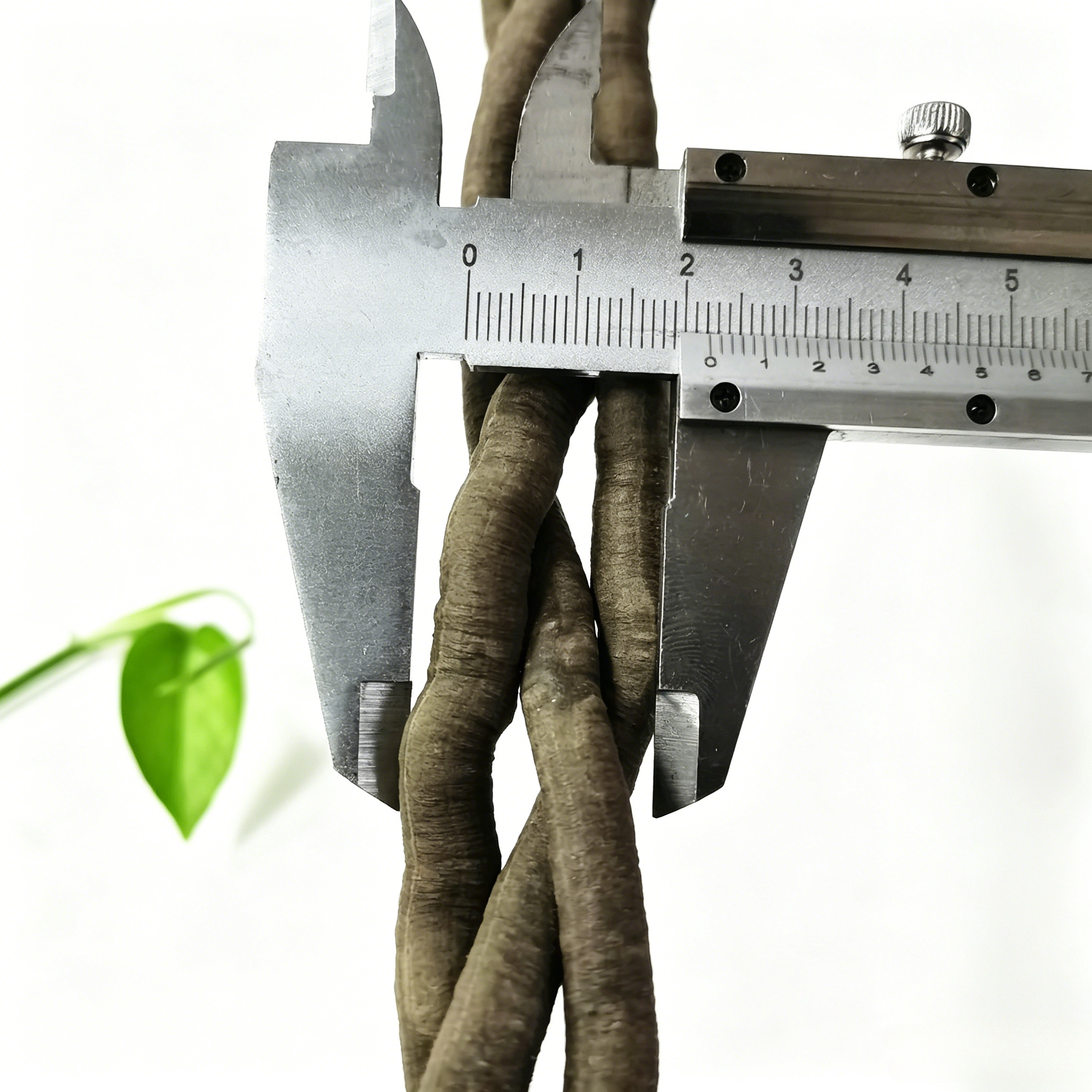 100cm Artificial Vine Plant Cl - Aquarium Fish Land ulasan dan harga