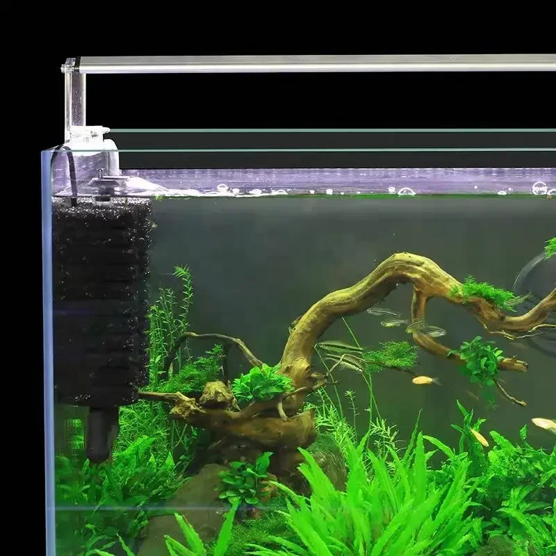 3-IN-1 Clip on Electric Power  - Aquarium Fish Ball ulasan dan harga