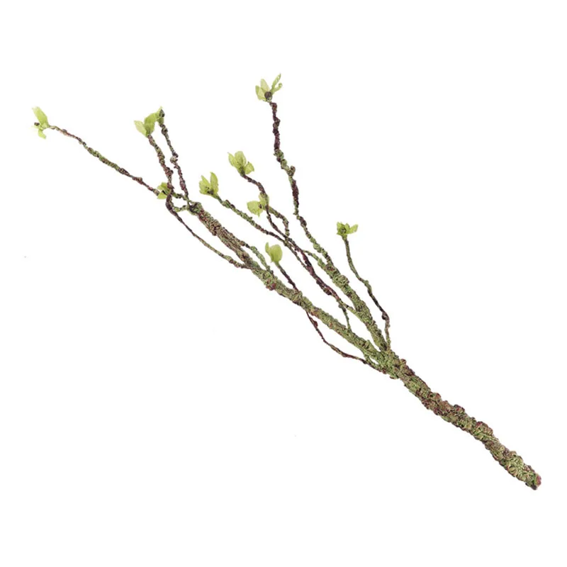 Vines Decor Climbing Branches  - Aquarium Fish Tank Price ulasan dan harga