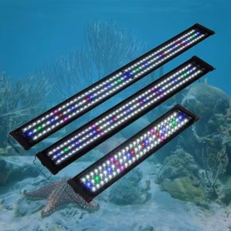 China Supplier Fish Tank Light - Aquarium Fish Supplier ulasan dan harga