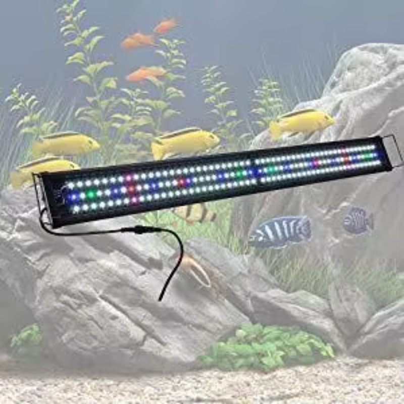 China Supplier Fish Tank Light - Aquarium Fish Supplier ulasan dan harga
