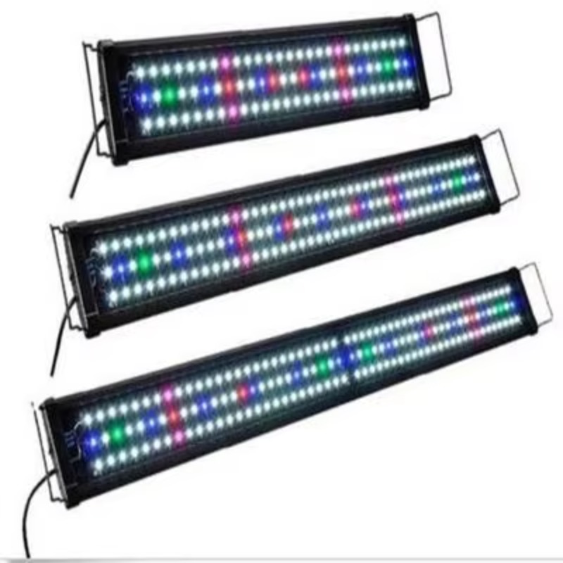China Supplier Fish Tank Light - Aquarium Fish Supplier ulasan dan harga