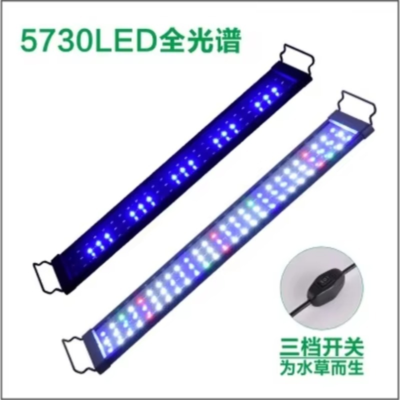 China Supplier Fish Tank Light - Aquarium Fish Supplier ulasan dan harga