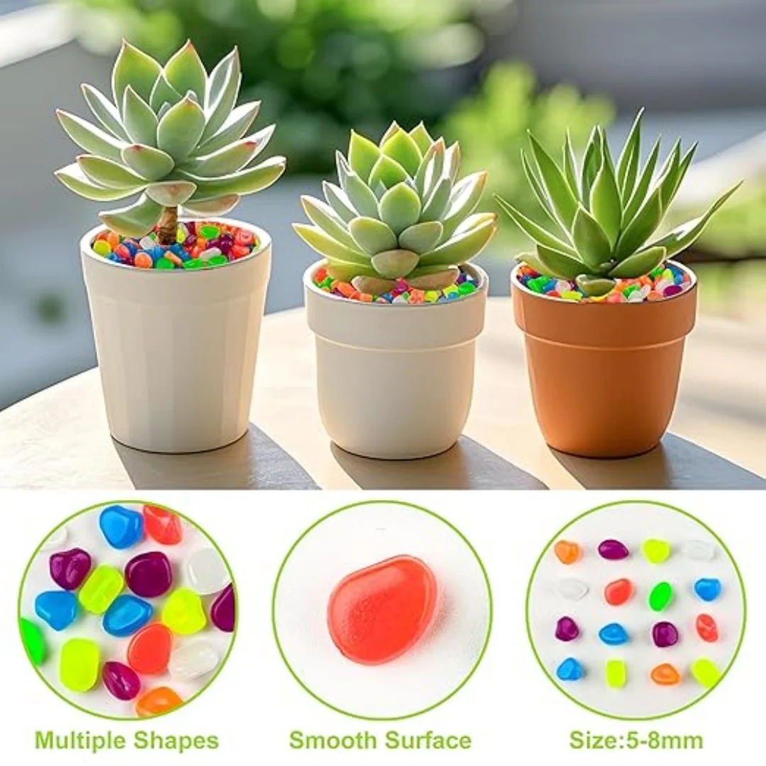 500Pcs Glow in The Dark Garden - Aquarium Fish Land ulasan dan harga